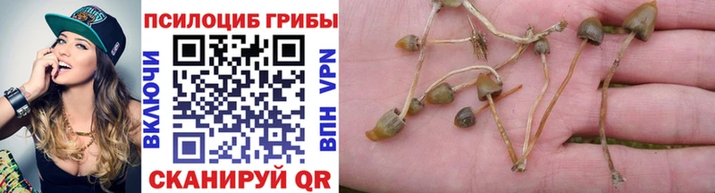 Псилоцибиновые грибы Magic Shrooms  хочу   Кондопога 