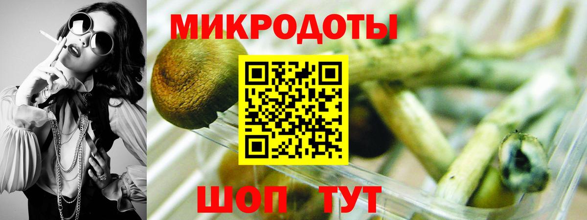 Кондопога  Галлюциногенные грибы Magic Shrooms  Вход с VPN 