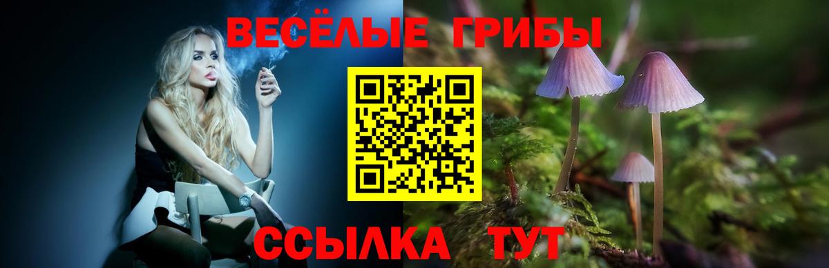 Галлюциногенные грибы Psilocybine cubensis Кондопога